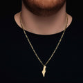 Lion Of Israel Necklace