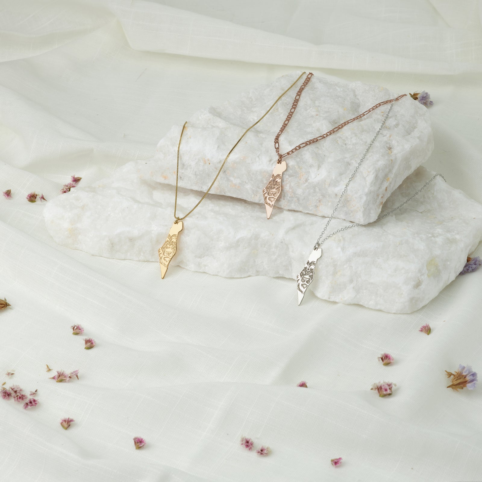 Lion Of Israel Necklace